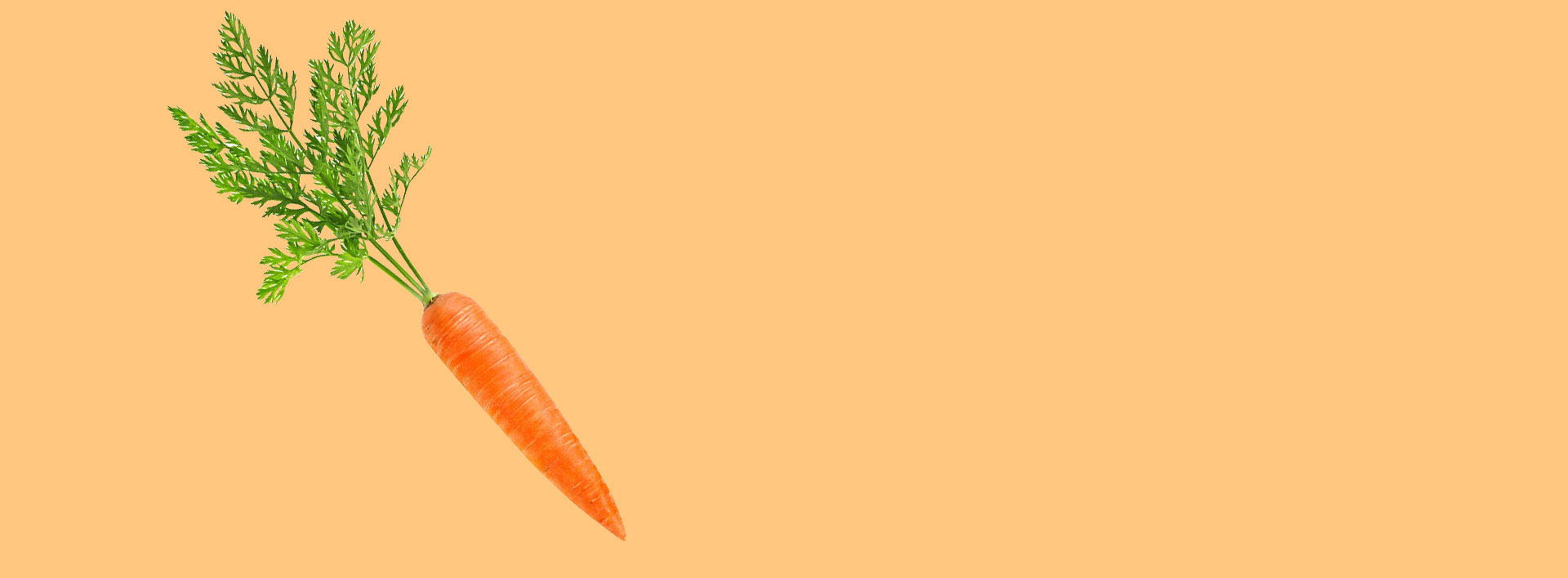 petalas-carrots-header-3